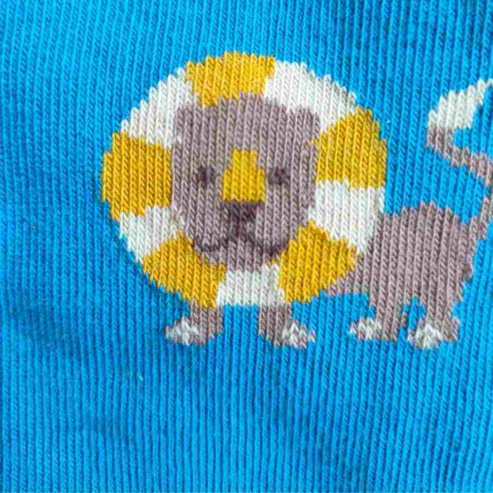 Chaussettes "lions" en coton bio - pointures 19 à 34 - Fräulein Prusselise