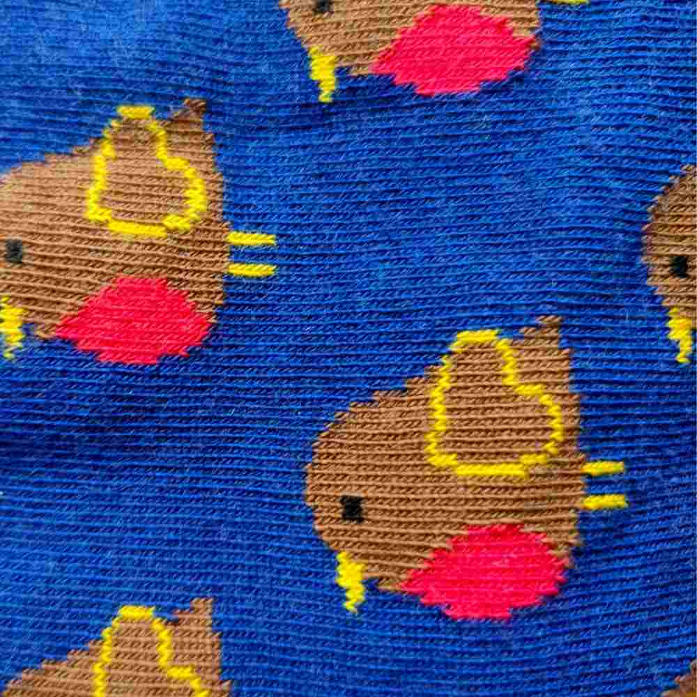 Chaussettes "rouge-gorge" en coton bio - pointures 19 à 42 - Fräulein Prusselise