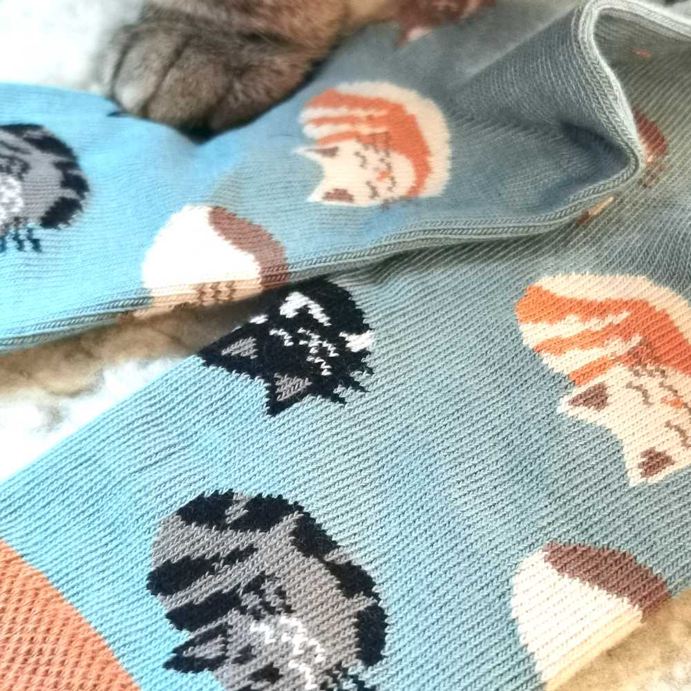 Chaussettes motif Chats en coton bio - pointures 19 à 34 - Fräulein Prusselise