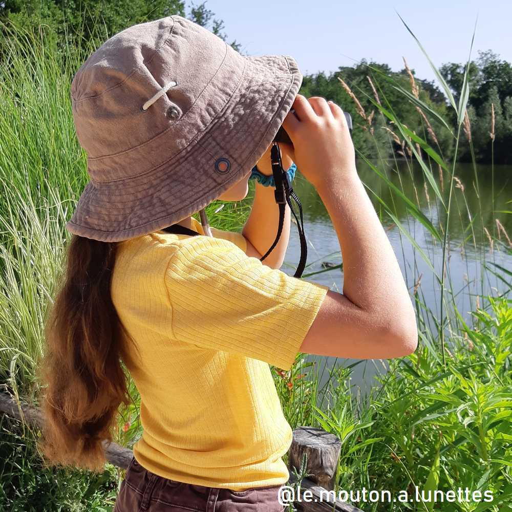 t-shirt enfant cosilana coton laine soie bio Le Mouton à Lunettes