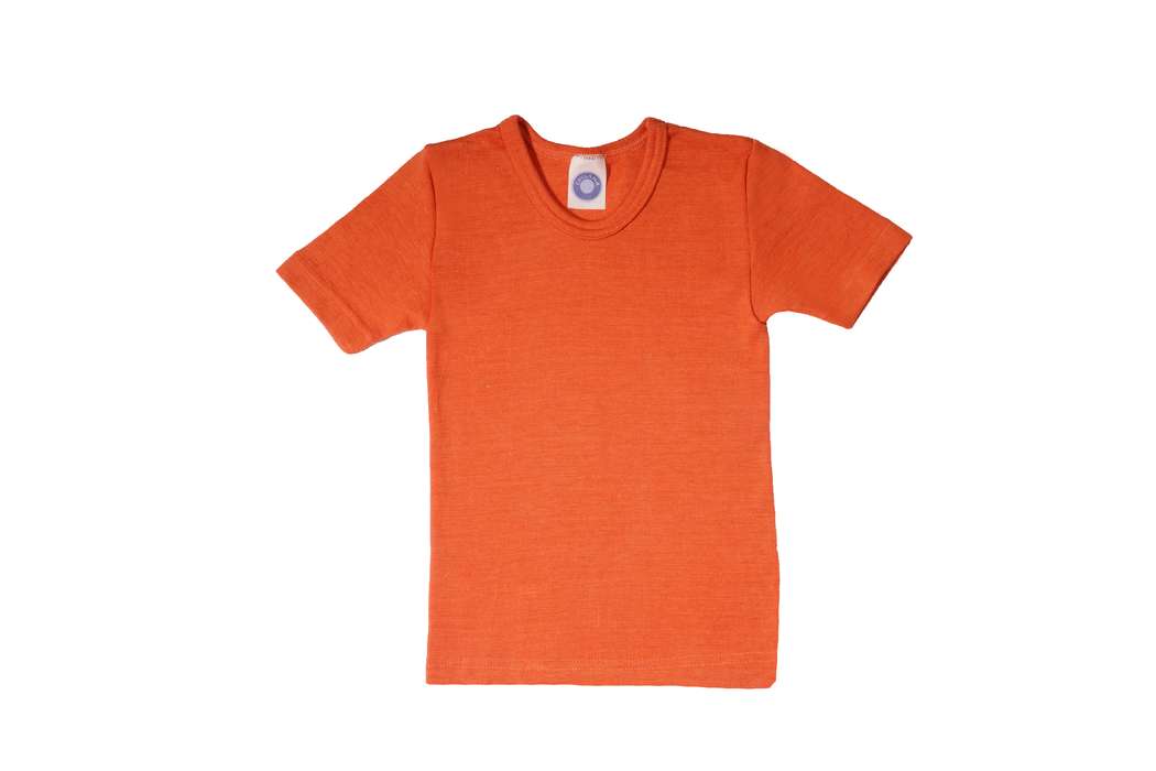T-shirt enfant 100% laine de mérinos manches longues T-shirt enfant 100% laine de mérinos manches longues