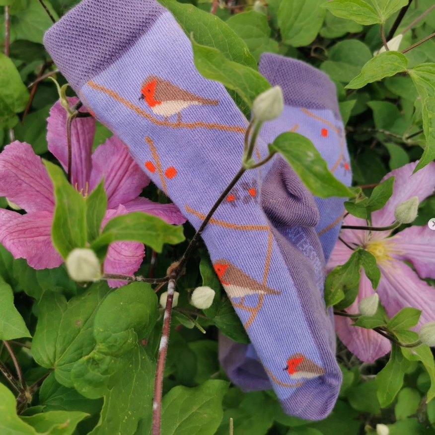 Chaussettes en coton bio "Birdy" lilas - pointures 19 à 42 - Fräulein Prusselise