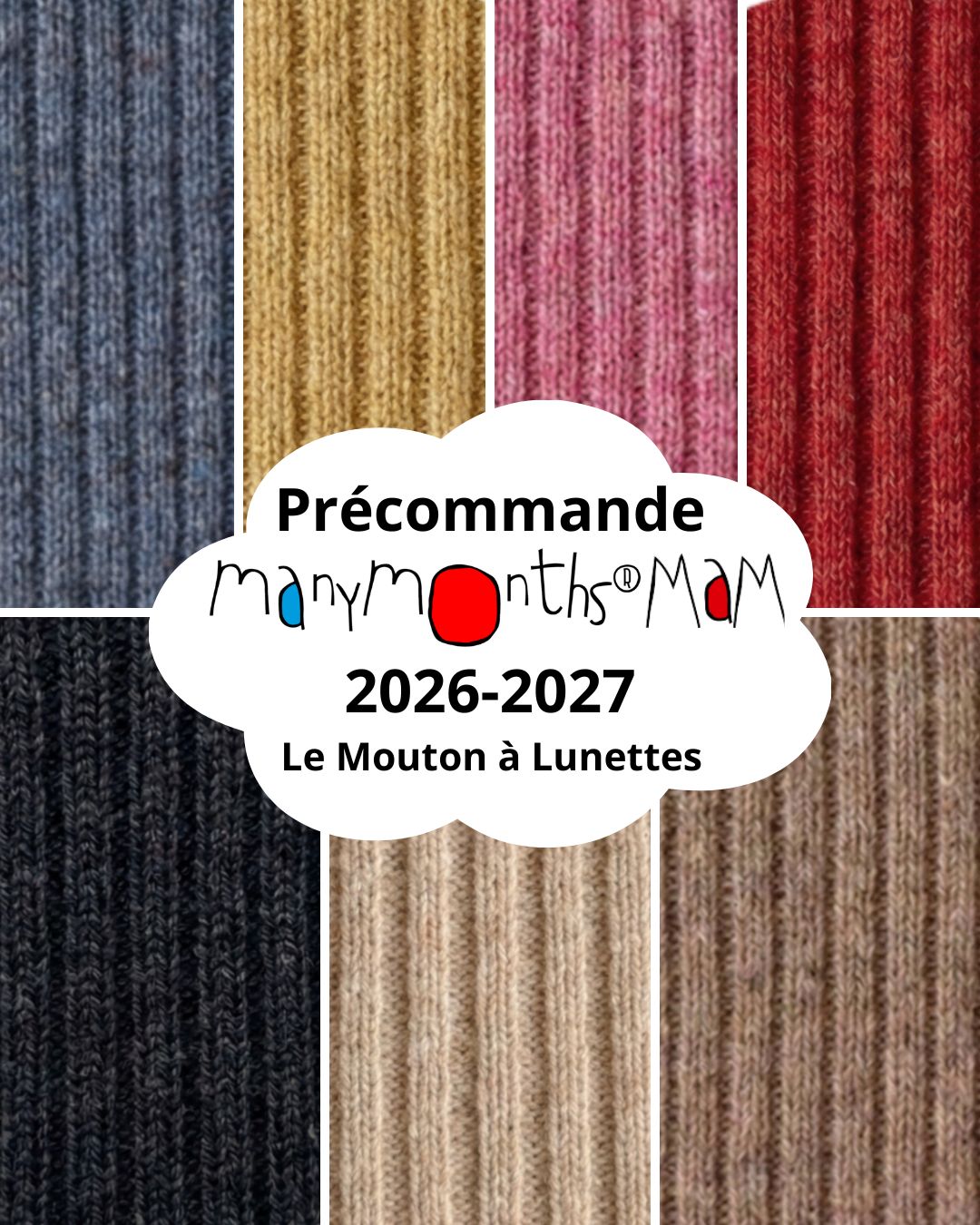 Le Mouton à Lunettes