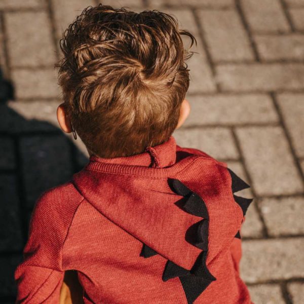 sweat dino hoodie avec capuche en laine mérinos manymonths pour enfant